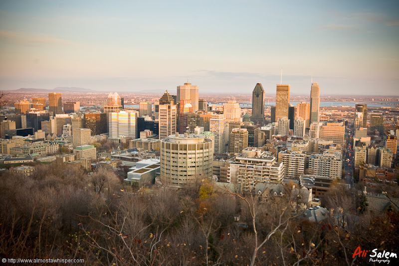 Montreal-View-Mount-Royal-2