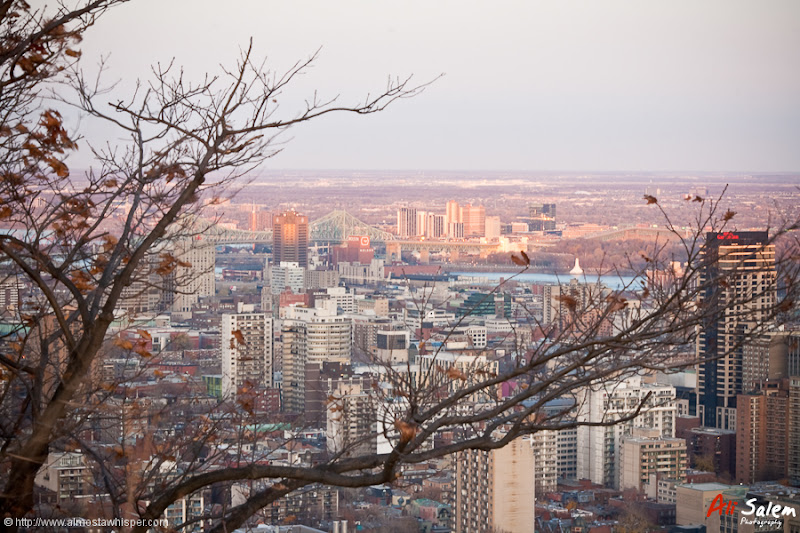 Montreal-View-Mount-Royal-3
