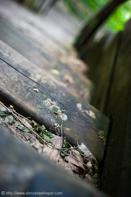 Ontario-photography_by_Ali-Salem-15
