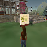 Second Life