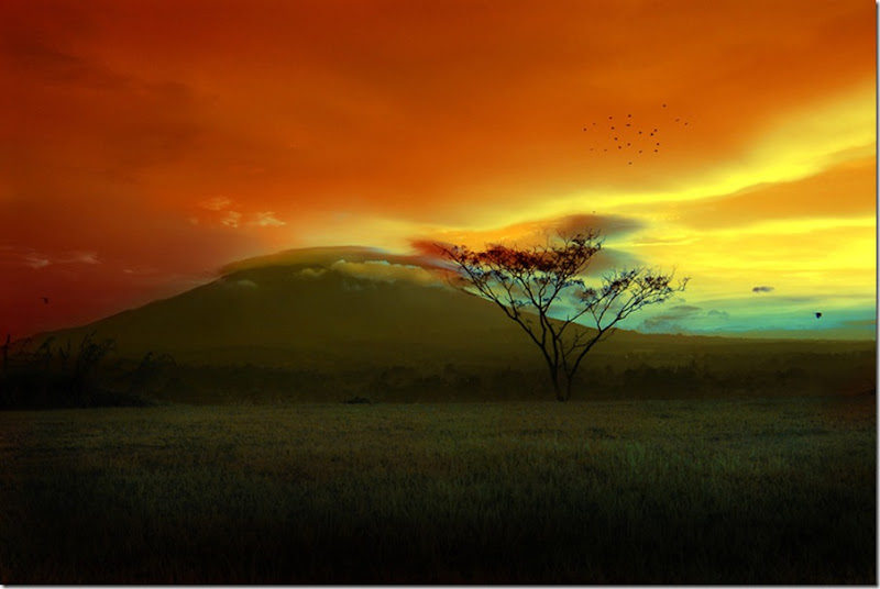landscape by Musin Yohan
