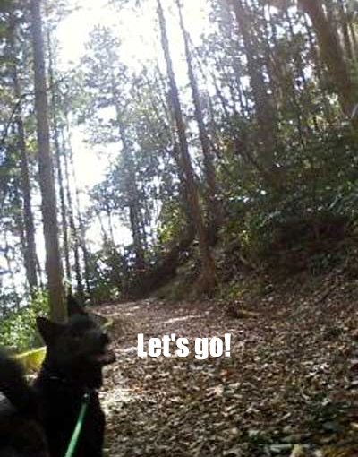 笑う犬との生活は楽しっ♪