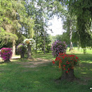 Waide_motelli_yldilme-72.JPG