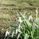 IMGP7494.JPG
