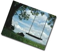 tree swing