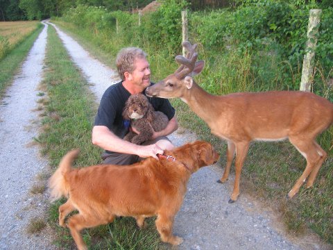 image55.jpg