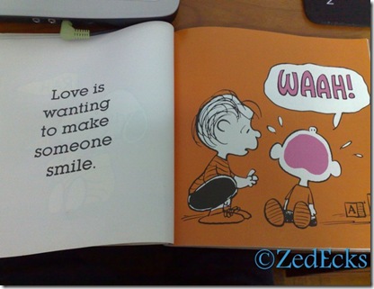 Picture 052