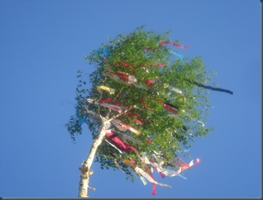Maibaum_30_04_07