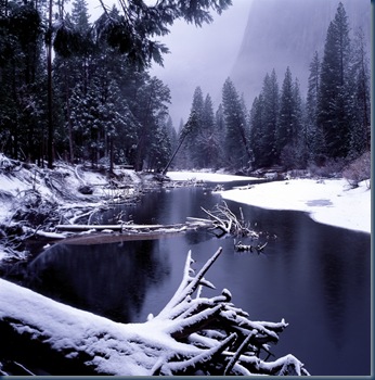 winterland3
