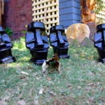 [tikis[2].jpg]