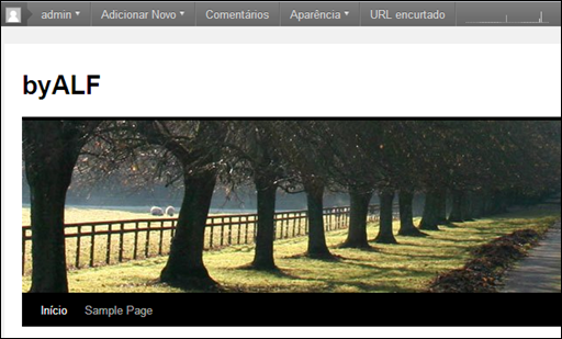 Como alterar o idioma do Wordpress para o Português - Visual Dicas