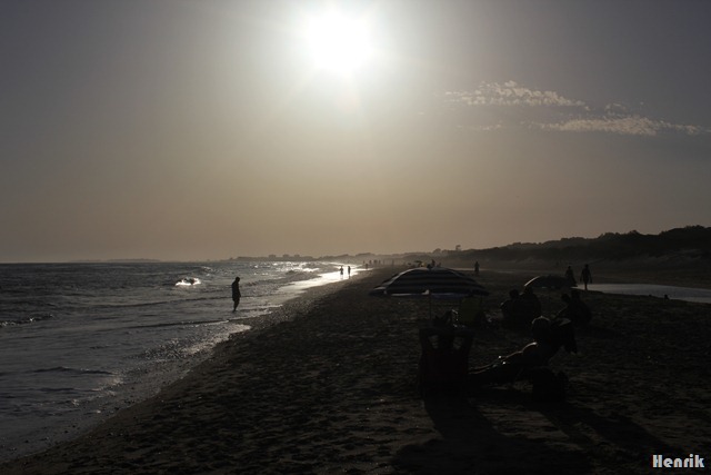 [IMG_321112.jpg]