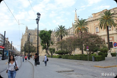 IMG_3415 IMG_3415