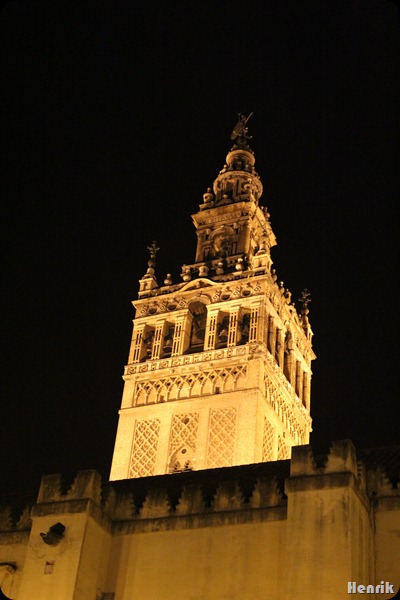 IMG_3495 IMG_3495