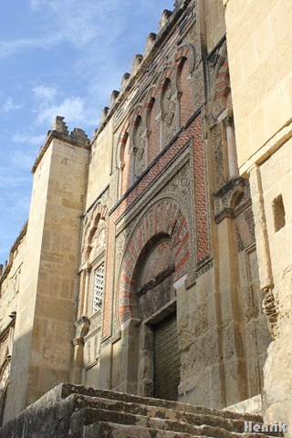 [IMG_35292.jpg]