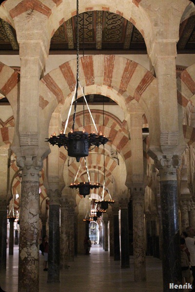 IMG_3698 IMG_3698
