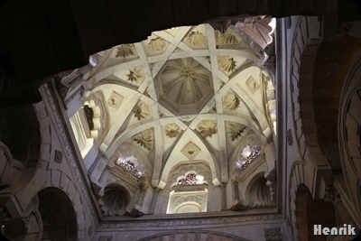 IMG_3701 IMG_3701