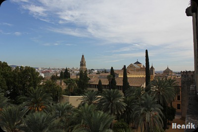 IMG_3821 IMG_3821