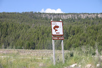 IMG_9874.JPG Photo