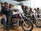 Harley Davidson Transfers.jpg