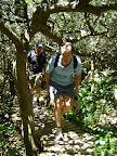 Kalk Bay Explorer.jpg