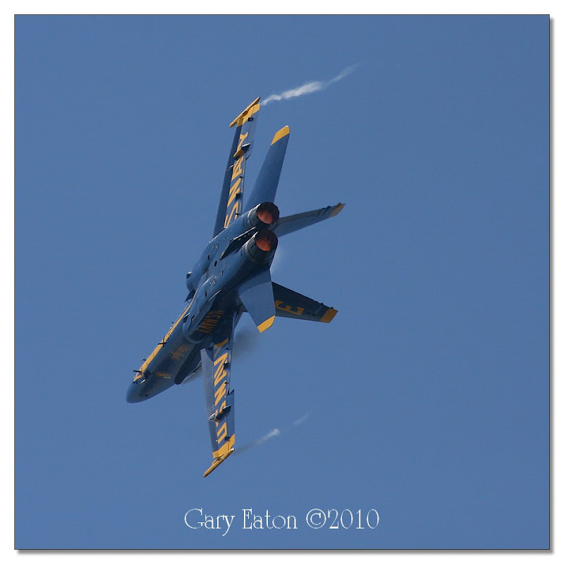 IMAGE: http://lh5.ggpht.com/_rSR7KcWAKvs/S8hsXwYNe6I/AAAAAAAAE50/Ic-3QB5mNT8/s800/IMG_9910.jpg