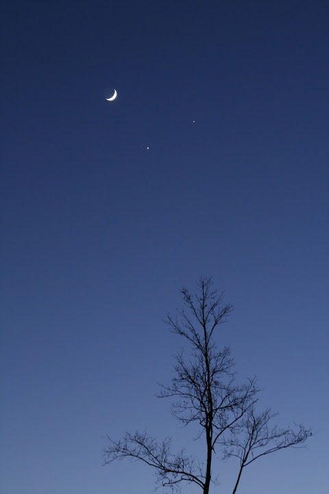 IMAGE: http://lh5.ggpht.com/_rSR7KcWAKvs/STSDA_7NdBI/AAAAAAAADg0/vGLvI7m2SlI/s720/IMG_9609.jpg