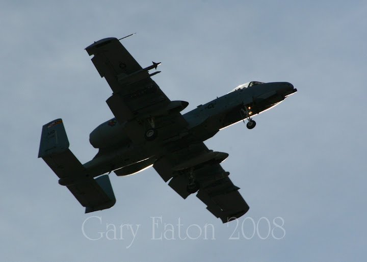 IMAGE: http://lh5.ggpht.com/_rSR7KcWAKvs/SUaNKqDA-uI/AAAAAAAADls/-5eWX1FLIoA/s720/IMG_0197_10x14.jpg