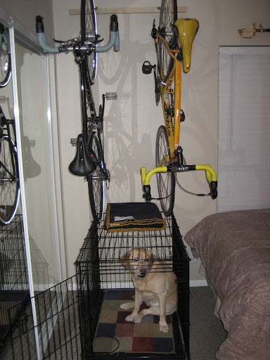 hanging bikes