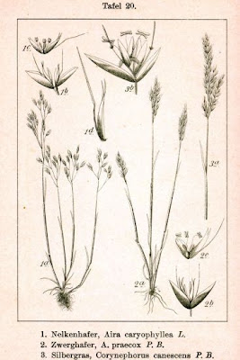 Pabbio