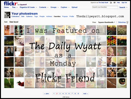 flickrfriends flickrfriends