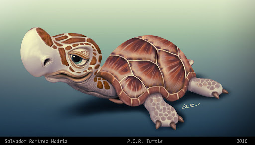 Turtle Turtle