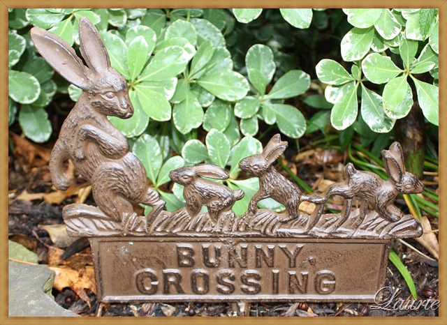 [bunny xng.jpg]