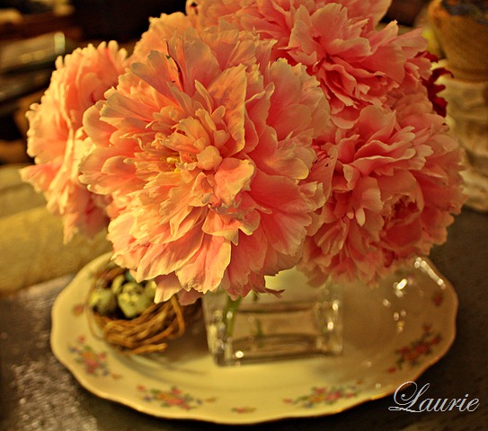 [peonies3.jpg]