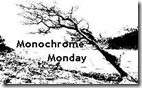 Monochrome Monday