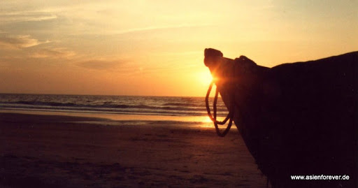 Indien+goa