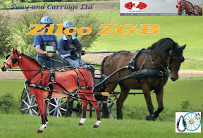 Zilco ZGB Single Driving Harness