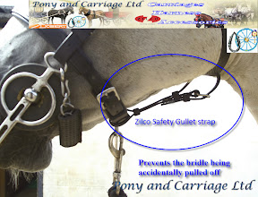 Zilco Gullet Safety Strap Size: One Size