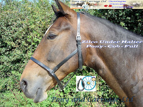 Zilco Carriage Driving Under Halter