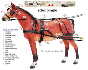 Zilco Tedex Harness Complete Bridle Set