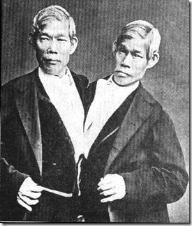 siamese_twins6.jpg