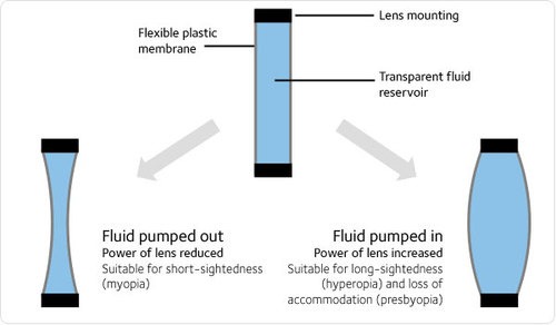 [adspecs_fluid4.jpg]