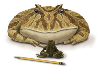 frog_science