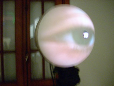 DSCN5294 DSCN5294