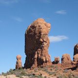 Do you see the elephant?