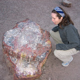 Katie marvels at a piece of petrified wood.