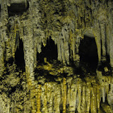 IMG_5645.JPG