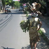 A woman walking down the street balancing wood on her head.