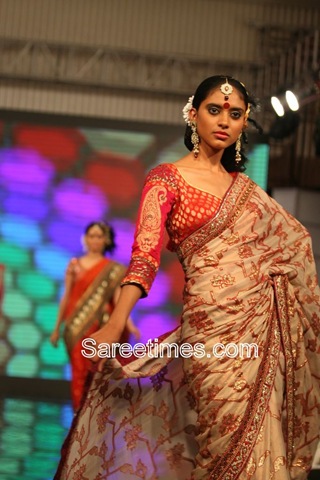[Cream_Designer_Saree[7].jpg]
