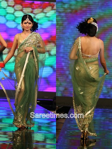 [Green_Designer_Saree[3].jpg]